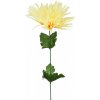 Květina Chryzantéma jehlicovitá lemon 48 cm, balení 12 ks