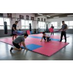 TRINFIT Tatami MMA T25 – Zboží Mobilmania