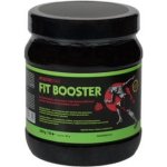 NutriStar Fit booster 500 g – Sleviste.cz