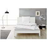 Balette Kazetová přikrývka z prachového peří Premium Selection střední 200x220 – Sleviste.cz