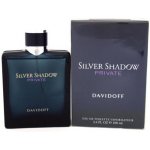 Davidoff Silver Shadow Private toaletní voda pánská 50 ml – Hledejceny.cz