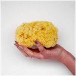 Förster´s přírodní mycí mořská houba karibská M – Sleviste.cz