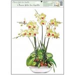 Anděl Přerov Okenní fólie bez lepidla orchideje tmavě růžová 42 x 30 cm – Sleviste.cz