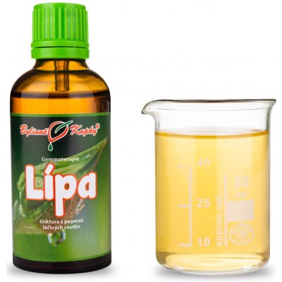 Bylinné kapky Gemmoterapie Lípa pupeny tinktura z pupenů 50 ml – Hledejceny.cz