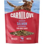 Carnilove Dog Crunchy Snack Salmon with Blueberries 200 g – Hledejceny.cz