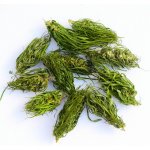 Bailly Konopná herba 20 g – Hledejceny.cz