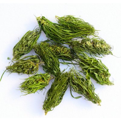 Bailly Konopná herba 20 g – Hledejceny.cz