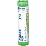 HYOSCYAMUS NIGER POR 5CH GRA 1X4G – Hledejceny.cz