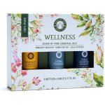 Song of India Essential Oil Aromaterapeutický set Wellness 3 x 5 ml – Zboží Mobilmania