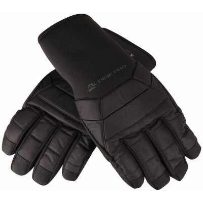 Alpine Pro Gomme – Hledejceny.cz