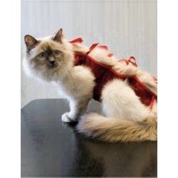 Ochranná košilka "LENKA" kočka velikost XL 1ks