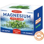 TEREZIA MAGNESIUM + vitamin B6 a meduňka Limitovaná edice 120 + 30 kapslí – Hledejceny.cz