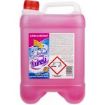 Fixinela čistič na rez a vodní kámen 5 l – Zboží Dáma