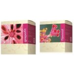 Energy Grepofit 135 kapslí plus Flavocel 150 tablet – Hledejceny.cz