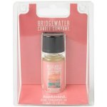 Bridgewater Candle Company Esenciální olej do aromalampy Sunkissed (sluncem políbený) 10 ml – Hledejceny.cz