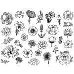 Aladine Razítka Stampo Scrap Kytičky – Zboží Mobilmania