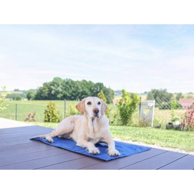 Chladicí podložka pro psy KERBL 80842 COOL-RELAX, 90 x 50 cm, modrá – Hledejceny.cz