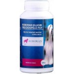 Univit Roboran Klasik dospělý psy plv 150 g – Hledejceny.cz