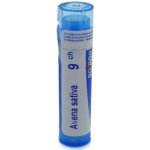AVENA SATIVA POR 9CH GRA 1X4G – Hledejceny.cz