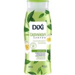 Dixi šampon s čajovníkovým olejom mastné vlasy 400 ml – Zboží Mobilmania