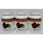 MycoMedica Auricularia polytricha Bylinné kapsle 3 x 90 kapslí – Hledejceny.cz