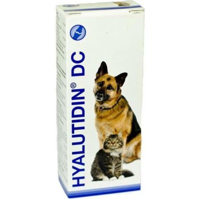GRAMME-REVIT Hyalutidin DC AKTIV 4 x 125 ml – Hledejceny.cz