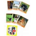 Pexeso: PSI v krabičce – Zboží Živě