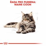 Royal Canin Maine Coon Adult 10 kg – Zboží Dáma