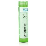 PYROGENIUM POR 15CH GRA 4G – Hledejceny.cz