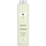 Yuup! Restrukturalizační a rozčesávací kondicionér 500 ml – Hledejceny.cz