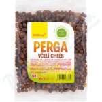 Wolfberry Včelí chléb Perga 100 g – Zbozi.Blesk.cz