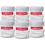 Teva Sudocrem antiseptický ochranný krém 400 G na opruzeniny 6 ks – Hledejceny.cz