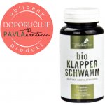 Tyroler Glückspilze Trsnatec lupenitý prášek Bio Grifola Frondosa Maitake Organic Powder kapsle 120 ks – Hledejceny.cz