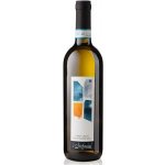 I Stefanini Pinot Grigio Delle Venezie DOC 2024 12% 0,75 l (holá láhev) – Hledejceny.cz
