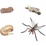 Safari Ltd. SFS662616 Životní cyklus Komár – Sleviste.cz