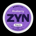 ZYN Blueberry 11 mg 21 ks – Sleviste.cz