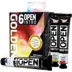 Golden Open Intro set Sada akrylových barev 6x22ml