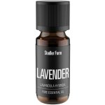 Stadler Form vonný olej Lavender 10 ml – Hledejceny.cz