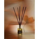 Aromatic89 Aroma difuzér s tyčinkami Amira 50 ml – Hledejceny.cz