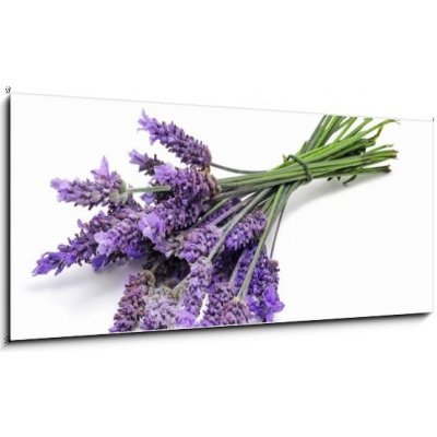 Obraz 1D panorama - 120 x 50 cm - lavender levandule – Zbozi.Blesk.cz