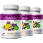 MycoMedica Ostropestřec 3 x 90 kapslí – Hledejceny.cz