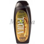 Vidal Argan Oil sprchový gel 250 ml – Zboží Dáma