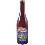 Matuška Apollo Galaxy 13° 0,7 l (sklo) – Zbozi.Blesk.cz