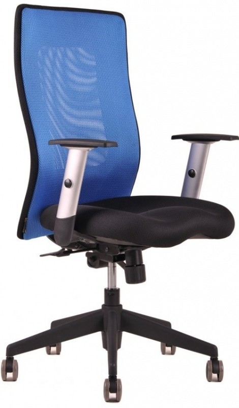 Office Pro Calypso XL BP