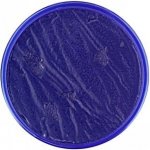 Barva na obličej 18 ml Modrá Dark Blue – Sleviste.cz