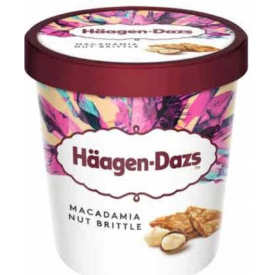 Häagen Dazs Macadamia Nut Brittle 460 ml – Zboží Mobilmania