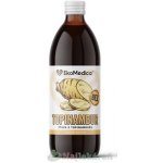 EkoMedica Topinambur šťáva z topinamburu 500 ml – Hledejceny.cz