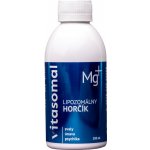 Vitamasol Lipozomální hořčík 200 ml – Hledejceny.cz