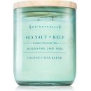 DW Home Sea Salt & Kelp 502 g