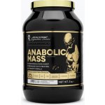 Kevin Levrone ANABOLIC MASS 3000 g – Zboží Dáma